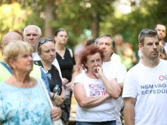 Szeged, Magyar Péter, Erzsébet Liget, liget, közösségi piknik, piknik, politika