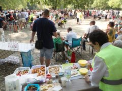 Szeged, Magyar Péter, Erzsébet Liget, liget, közösségi piknik, piknik, politika