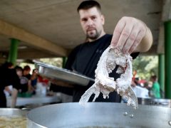 Szeged, Szegedi Nemzetközi Tiszai Halfesztivál, Halfesztivál, hal, gasztronómia, főzés, Halfőző Családi Nap, Partfürdő, SzEHOVA, Szegedi Horgász Piknik és Csongrád-Csanád Vármegyei Vadásznap