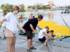 Szeged, Rotary Club Szeged Dóm, Rotary, gumikacsa, verseny, Tisza, jótékonyság