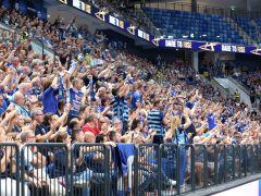 Szeged, OTP Bank Pick Szeged, Magdeburg, kézilabda, Bajnokok Ligája, BL, mérkőzés, Pick Aréna, sport