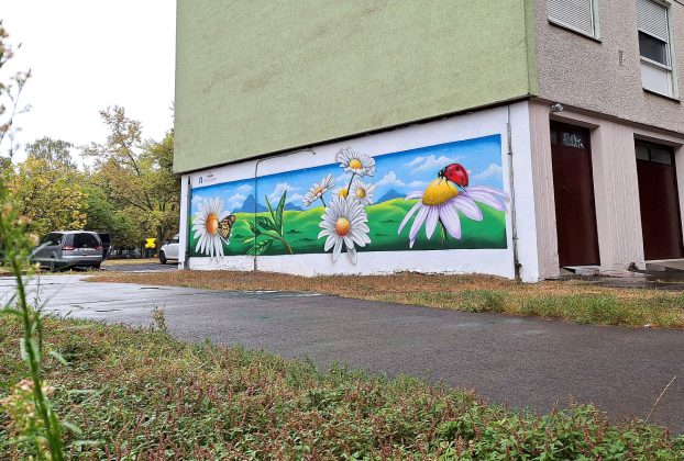 Szeged, graffiti, lakótelep, margaréta, Margaréta utca, panelház, utcaművész, falfestés