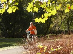 Szeged, napsütés, szeptember, időjárás, ősz, újszeged, liget, park, természet