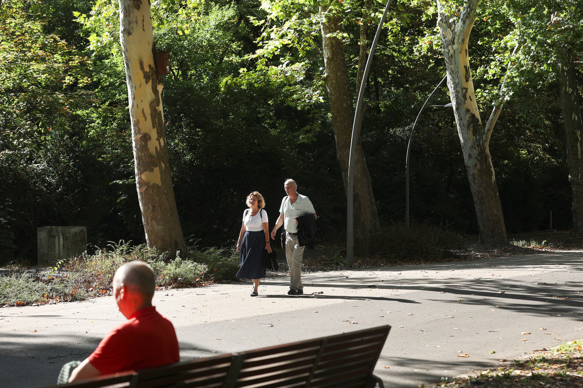 Szeged, napsütés, szeptember, időjárás, ősz, újszeged, liget, park, természet