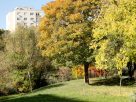 Szeged, ősz, október, időjárás, Zápor-tó