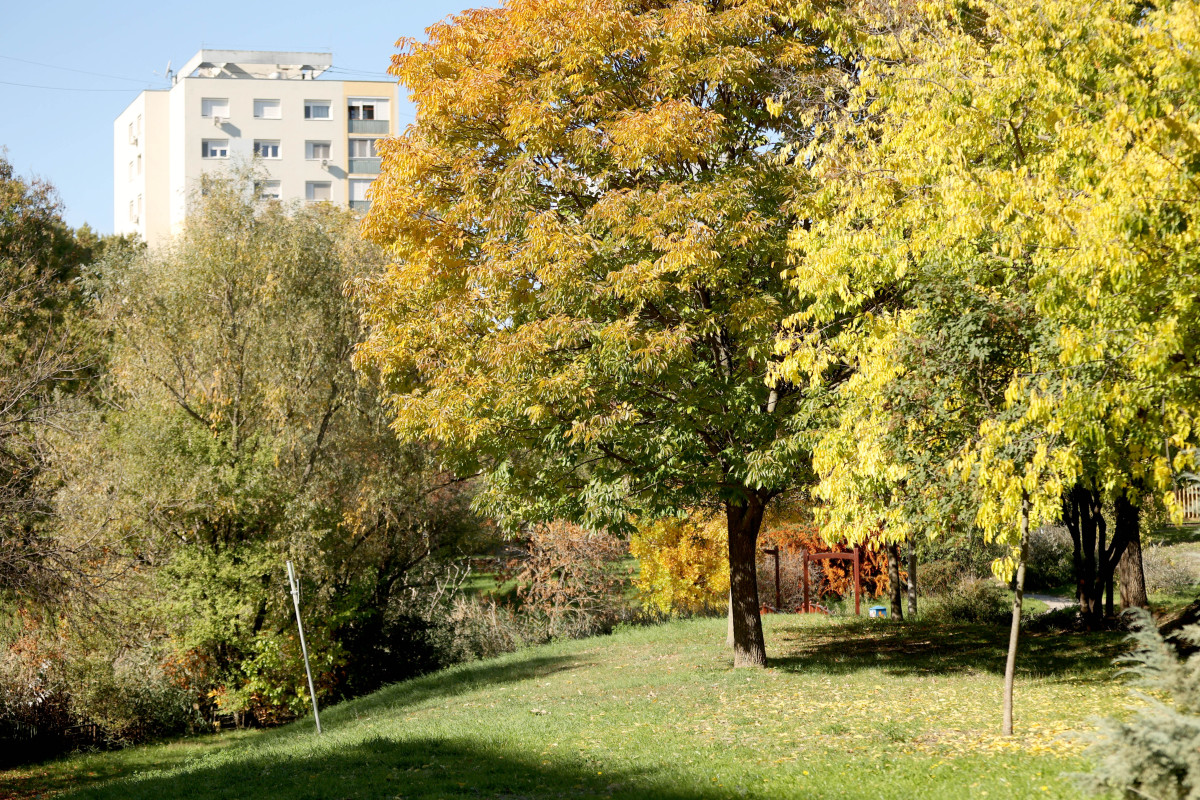 Szeged, ősz, október, időjárás, Zápor-tó