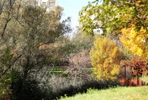 Szeged, ősz, október, időjárás, Zápor-tó
