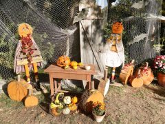 Szeged, Tök Jó Nap, ősz, Füvészkert, természet, időjárás, tök