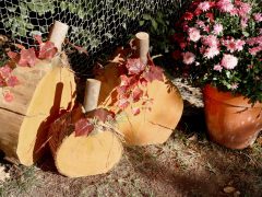 Szeged, Tök Jó Nap, ősz, Füvészkert, természet, időjárás, tök