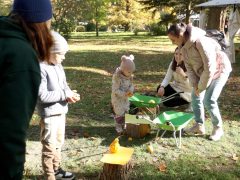 Szeged, Tök Jó Nap, ősz, Füvészkert, természet, időjárás, tök