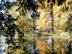 Szeged, Tök Jó Nap, ősz, Füvészkert, természet, időjárás, tök