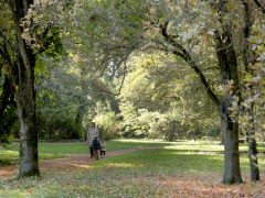 Szeged, Tök Jó Nap, ősz, Füvészkert, természet, időjárás, tök