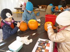 Szeged, Tök Jó Nap, ősz, Füvészkert, természet, időjárás, tök