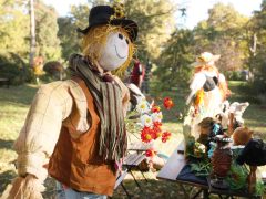 Szeged, Tök Jó Nap, ősz, Füvészkert, természet, időjárás, tök