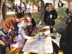 Szeged, Tök Jó Nap, ősz, Füvészkert, természet, időjárás, tök