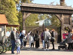 Szeged, Tök Jó Nap, ősz, Füvészkert, természet, időjárás, tök