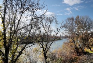 Szeged, ősz, időjárás, Tisza, dóm, november