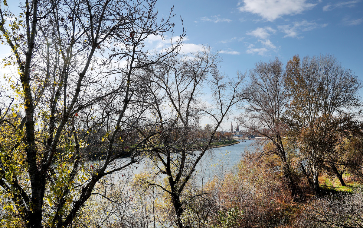 Szeged, ősz, időjárás, Tisza, dóm, november