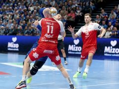 Szeged, OTP Bank Pick Szeged, Aalborg, kézilabda, Bajnokok Ligája, BL, mérkőzés, meccs, sport, Pick Aréna