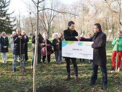 Szeged, Provident Pénzügyi Zrt., felajánlás, faültetés, Erzsébet liget