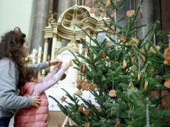 Szeged, Advent, Felsővárosi Szent Miklós Plébánia, mézeskalács, fenyő, fenyődíszítés, betlehem, templom