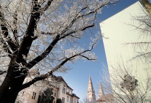 Szeged, zúzmara, tél, időjárás, január, hideg, fagy