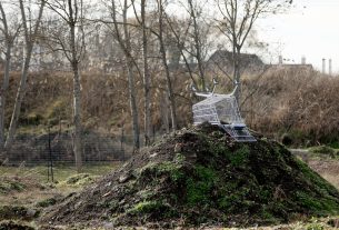 Szeged, bevásárlás, illusztráció, bevásárló kocsi, gazdaság, infláció