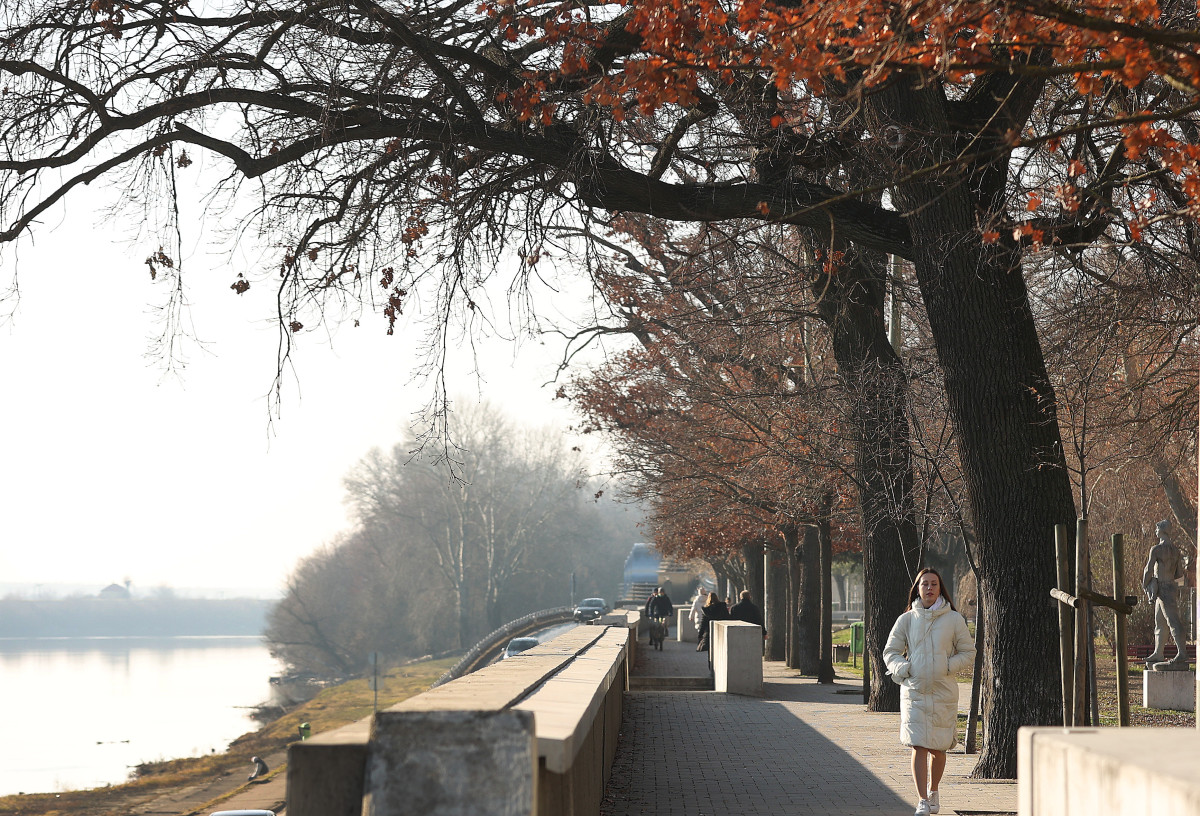 Szeged, napsütés, hideg, február, tél, időjárás