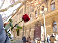 Szeged, szolidaritási megmozdulás, Magyar Bírói Egyesület, demonstráció, Szegedi Törvényszék, bíróság