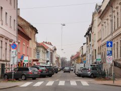 Szeged, fakivágás, Gogol utca, felújítás, belváros, parkolás