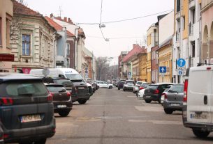 Szeged, fakivágás, Gogol utca, felújítás, belváros, parkolás