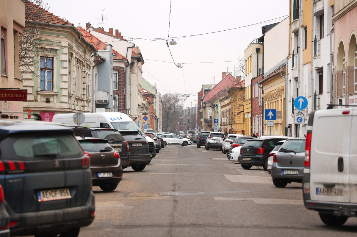 Szeged, fakivágás, Gogol utca, felújítás, belváros, parkolás