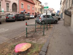 Szeged, fakivágás, Gogol utca, felújítás, belváros, parkolás