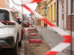 Szeged, fakivágás, Gogol utca, felújítás, belváros, parkolás