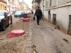 Szeged, fakivágás, Gogol utca, felújítás, belváros, parkolás