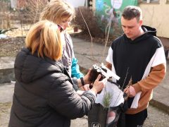 Szeged, facsemete, osztás, 10 millió Fa Alapítvány, Nemzeti Faültetés Napja, Megálló Közösségi Kert