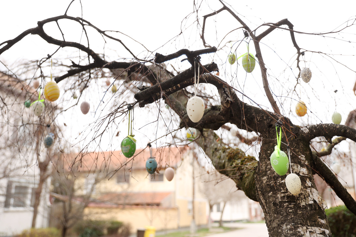 Szeged, húsvét, tojásfa, tojás, tavasz, Tisza Lajos utca