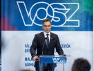 Papp László VOSZ