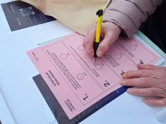 Szeged, Magyar Péter, Nemzet hangja, akció, Tisza párt, önkéntesek, politika