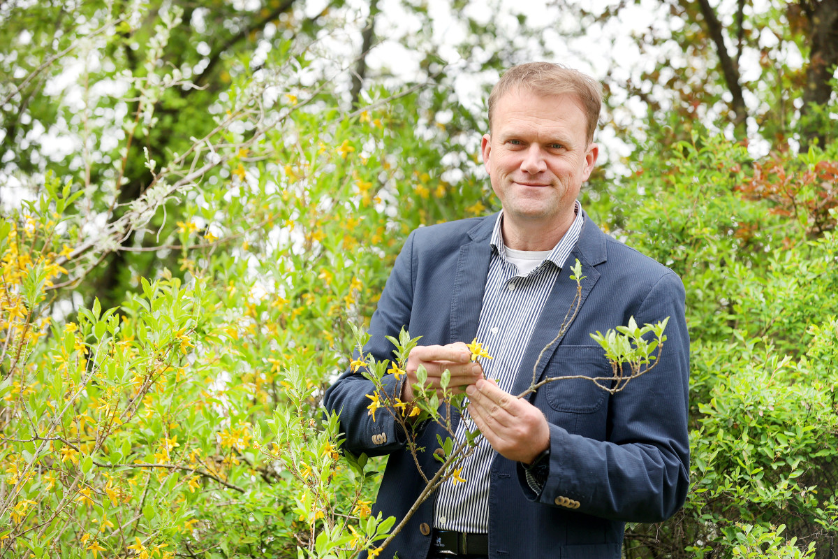 Szeged, Sipos József , Sipos gazda, növényorvos, termesztés, mezőgazdaság