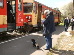 Szeged, MÁV, vasút, vonat, közlekedés, József Attila Expressz, különvonat, Újszegedi vasútállomás