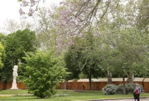 Szeged, építés, bódé, Széchenyi tér, Borfesztivál