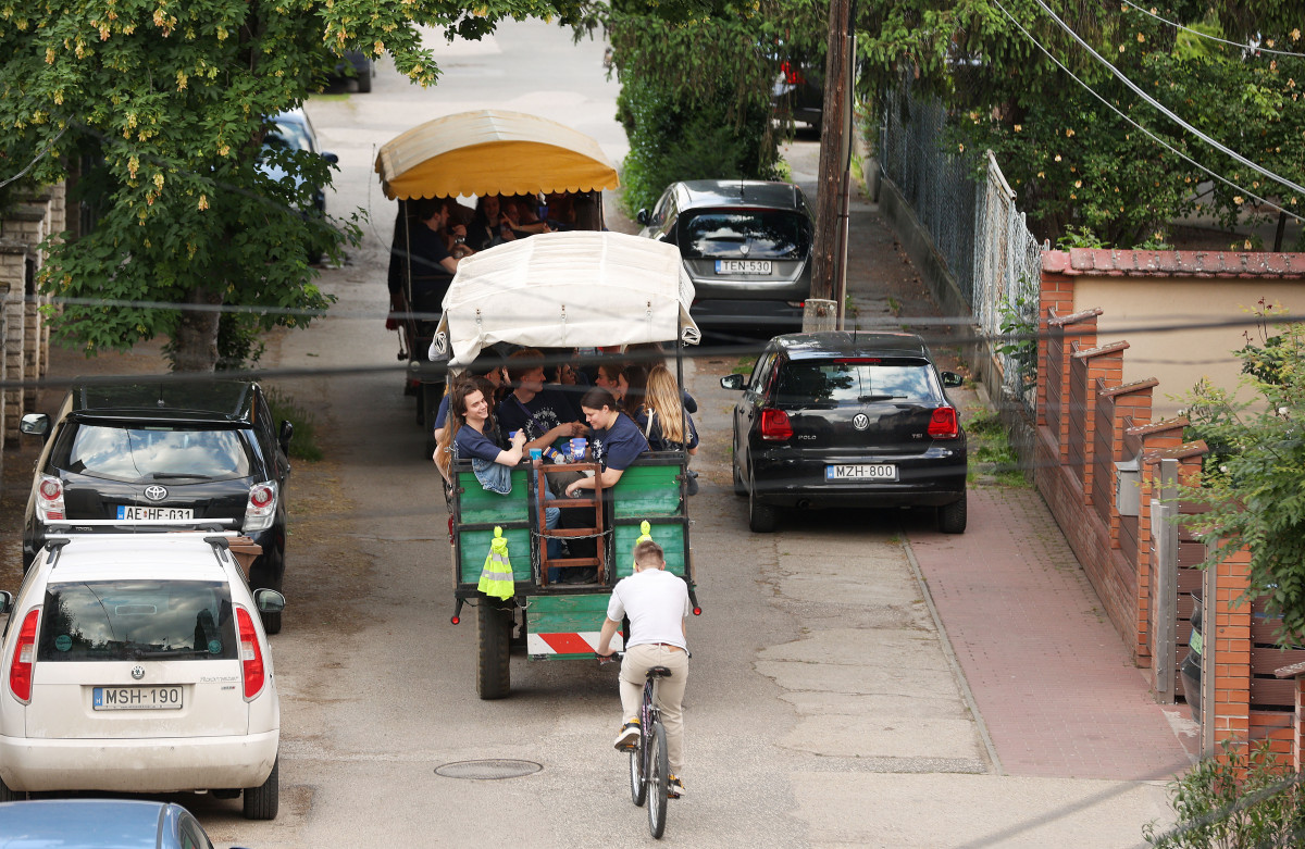 Szeged, SZTE, Szegedi Tudományegyetem, diákok, egyetemisták, szerenád, lovaskocsi