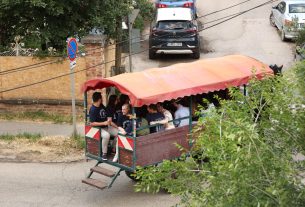 Szeged, SZTE, Szegedi Tudományegyetem, diákok, egyetemisták, szerenád, lovaskocsi