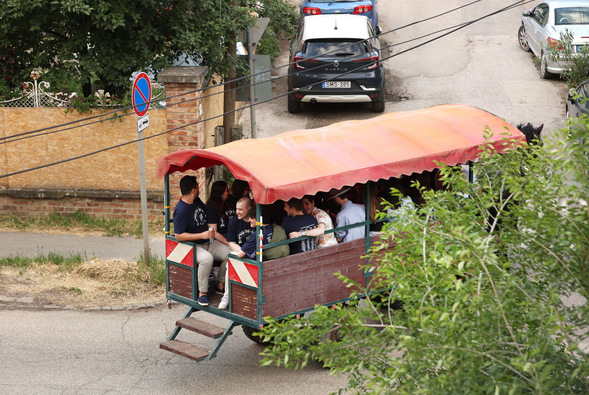 Szeged, SZTE, Szegedi Tudományegyetem, diákok, egyetemisták, szerenád, lovaskocsi