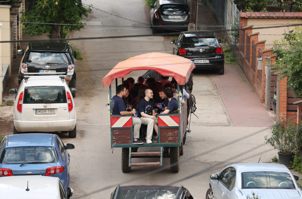 Szeged, SZTE, Szegedi Tudományegyetem, diákok, egyetemisták, szerenád, lovaskocsi