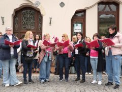 Szeged, KóSza, Kórusok Szabadon, kóruskoncertek, kórus, ének, belváros