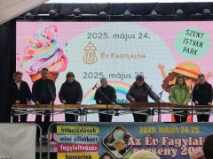 Hajdúszoboszló, Év Fagylaltja
