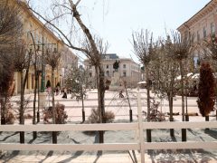 Szeged, száraz fák, kiállítás, Klauzál tér, installáció, globális felmelegedés, ReGreenX, klíma, hőség, nyár, szárazság