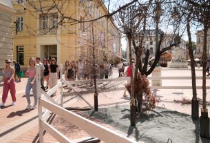 Szeged, száraz fák, kiállítás, Klauzál tér, installáció, globális felmelegedés, ReGreenX, klíma, hőség, nyár, szárazság